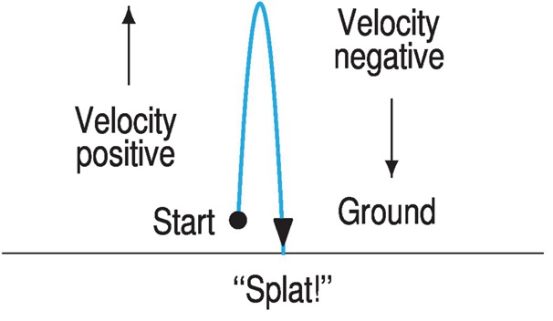 A curve showing the height of a grapefruit over time.  The curve increases, reaches a peak, and then decreases.